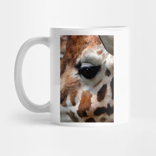 African Giraffe Amelopardalis Giraffa Mug